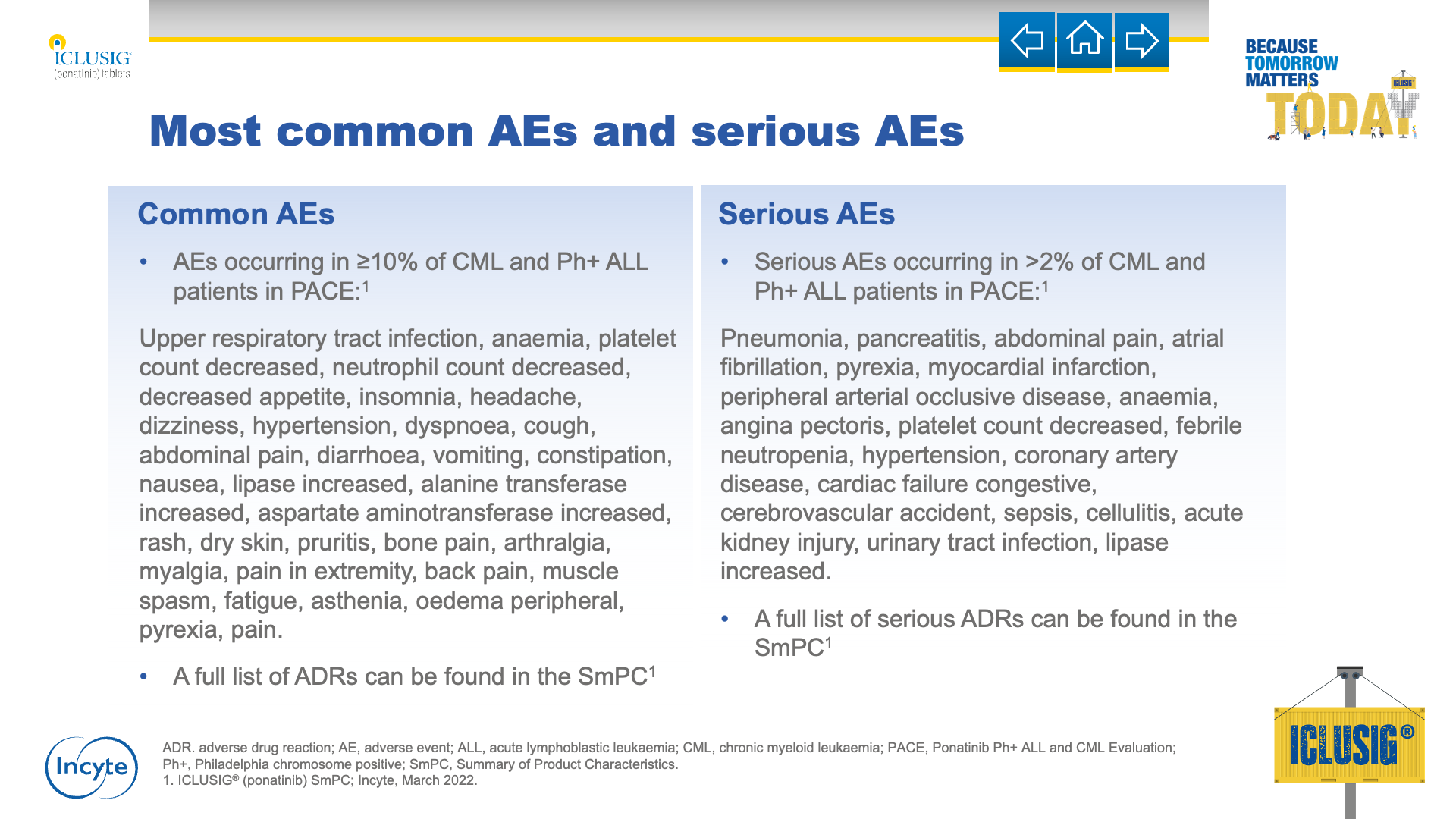 Slide 8